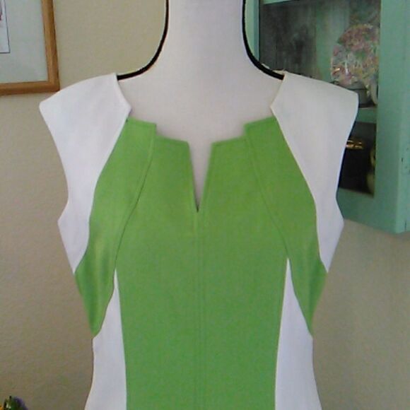 Ellen Tracy Beautifully Seamed Colorblock Dress - Picture 2 of 11